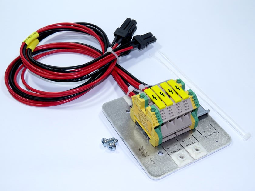 Bloc de connexion électrique avec fils rouges et noirs, incluant deux vis.