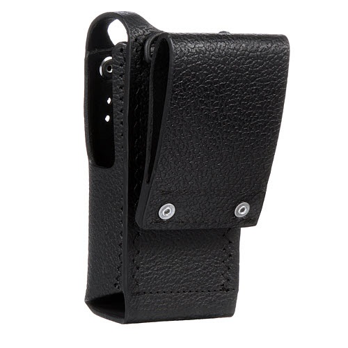 Black leather pouch with flap and two snap buttons.