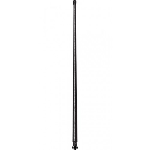 Antenne de voiture noire avec pointe arrondie et fixation à vis