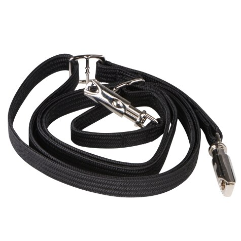 Black dog leash with silver clips on both ends.