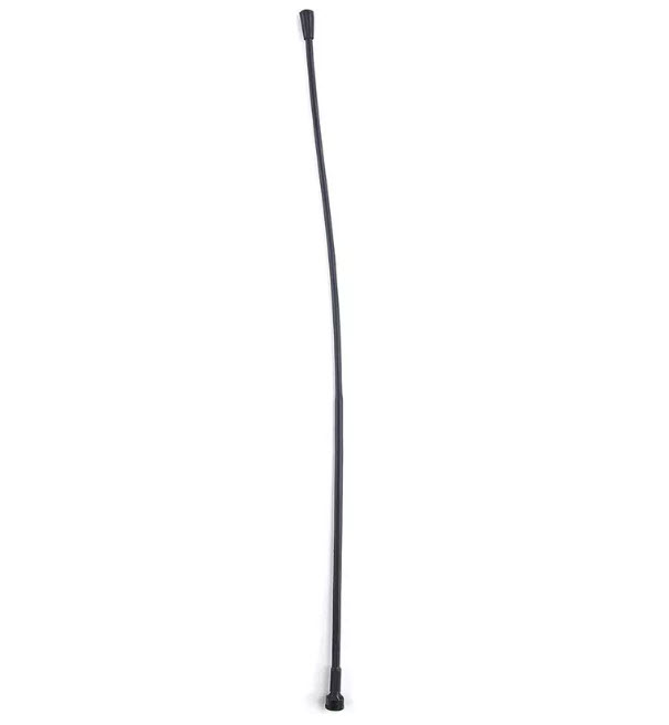 Lange, dunne, zwarte antenne met lichte kromming.